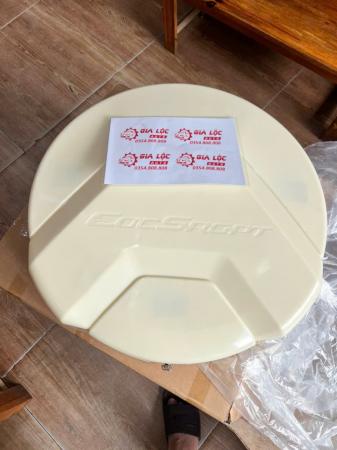 ỐP NGOÀI LỐP DỰ PHÒNG FORD ECOSPORT GIÁ TỐT