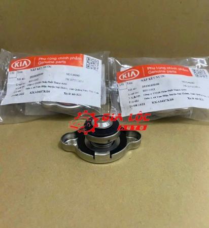 NẮP KÉT NƯỚC RIO 2012 253303Z000