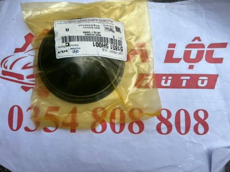 NẮP CHỤP TÂM LA ZANG CHẮN MỠ HYUNDAI COUNTY 518515H001